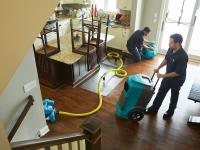 Affordable Mold Removal Company The Woodlands TX image 2